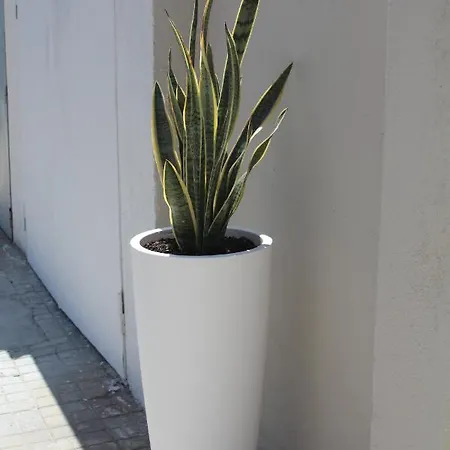 Malu - Vendégház 4*