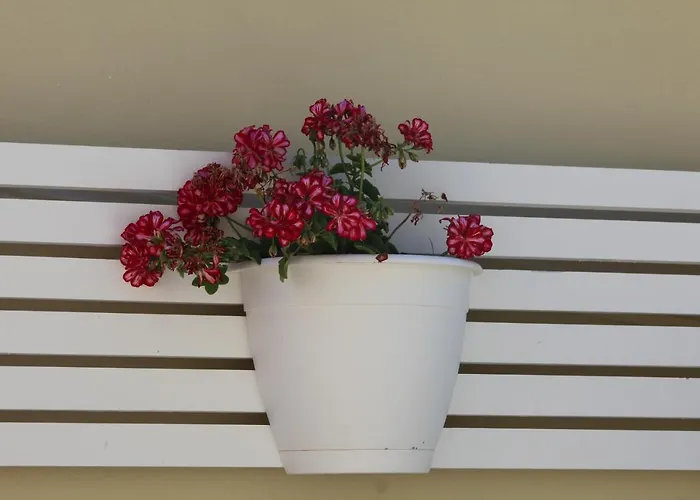 Malù - Affittacamere