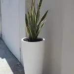 Malu - Guest house 4*