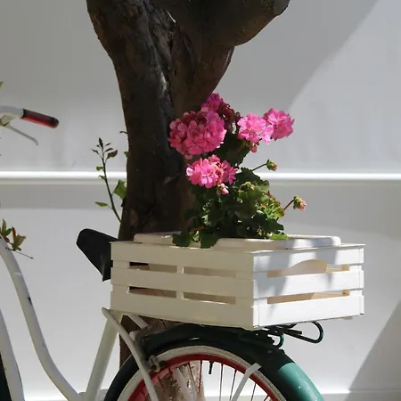 게스트하우스 Malu - 트로페아