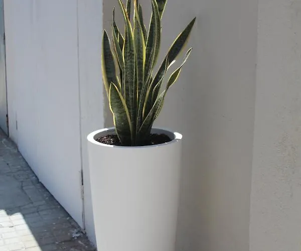 Malù - Affittacamere 4*