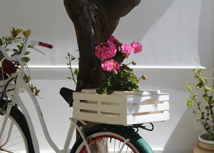 Affittacamere Malù - Tropea