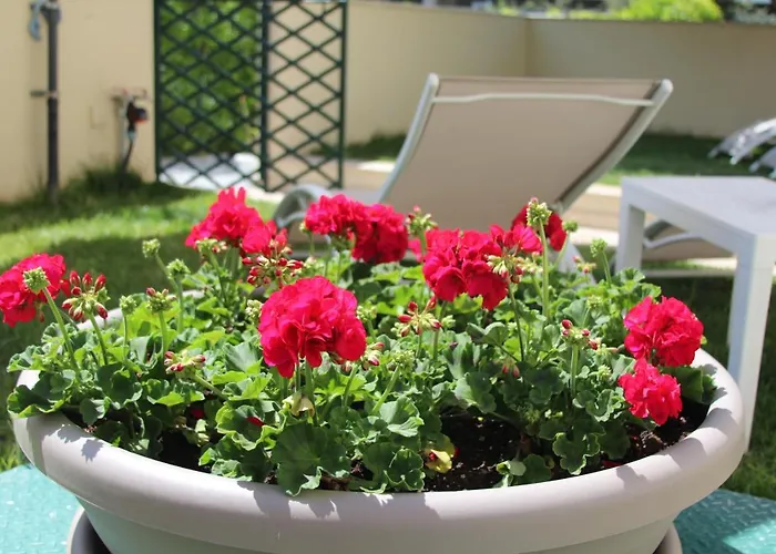 Malù - Affittacamere